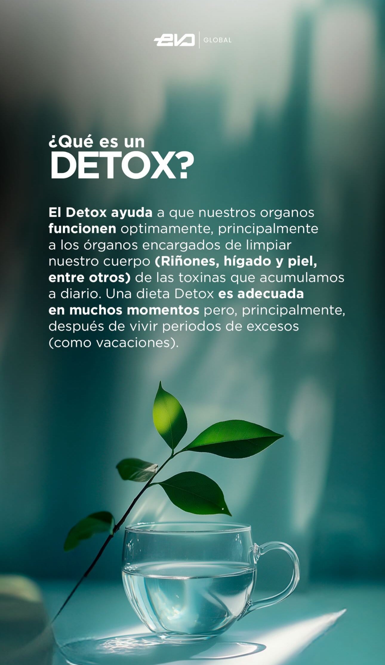 Té Detox-1 Semana